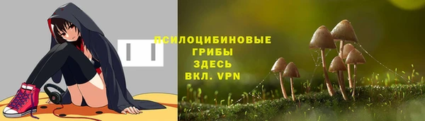 ALPHA PVP Кинешма