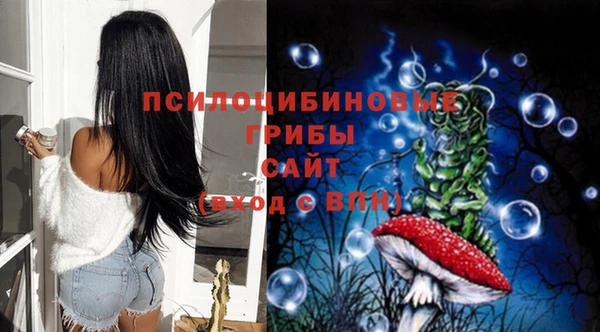 ГАЛЛЮЦИНОГЕННЫЕ ГРИБЫ Киреевск