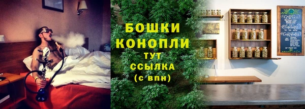 сатива Киренск