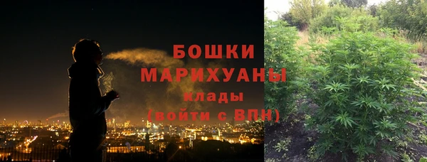 ГАЛЛЮЦИНОГЕННЫЕ ГРИБЫ Киреевск