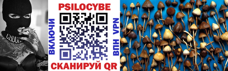 Галлюциногенные грибы Cubensis Макарьев